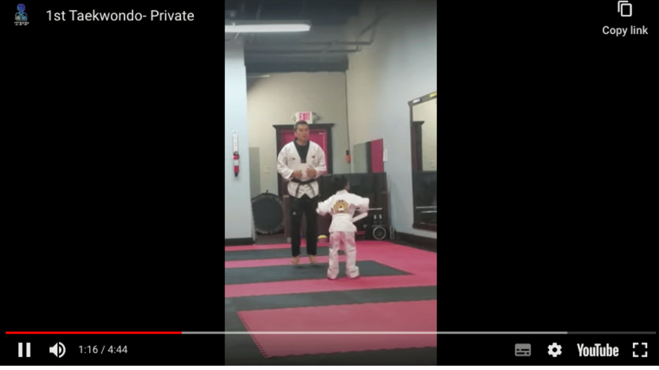 Taekwondo Training: Master The Art With 1st Taekwondo - Private